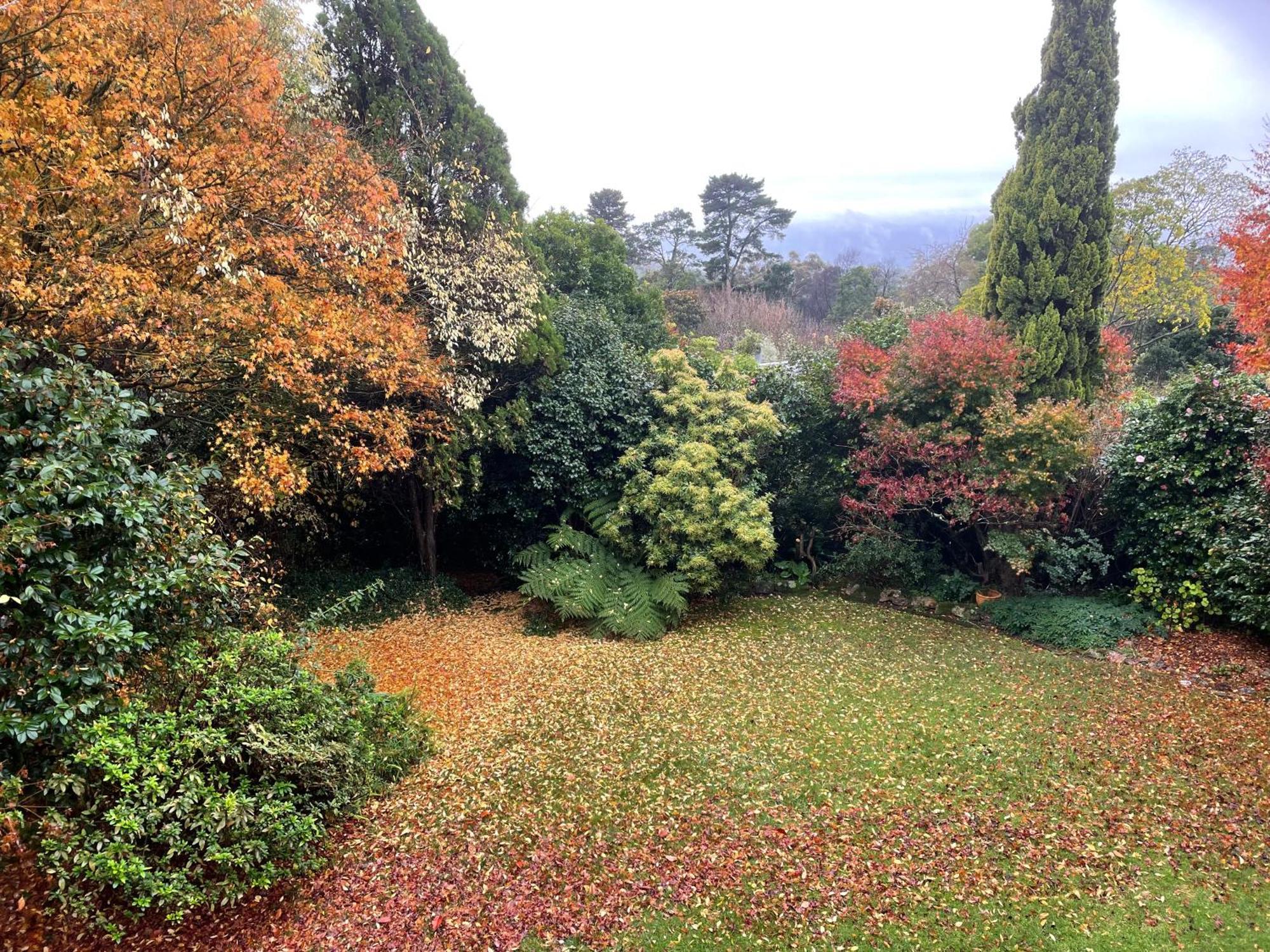 Mountain Sojourn - Tranquil Kurrajong Getaway Apartment ภายนอก รูปภาพ